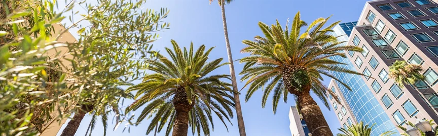 10 Best Restaurants in Anaheim for Every Food Lover