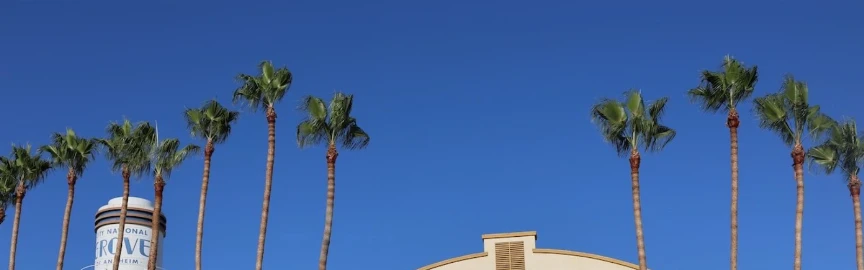 10 Places To Visit In Anaheim