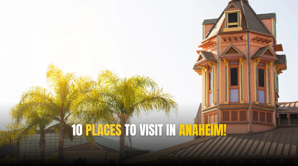10 Places To Visit In Anaheim