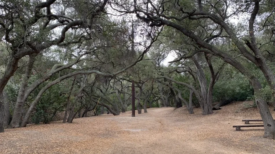 10 Places To Visit In Anaheim