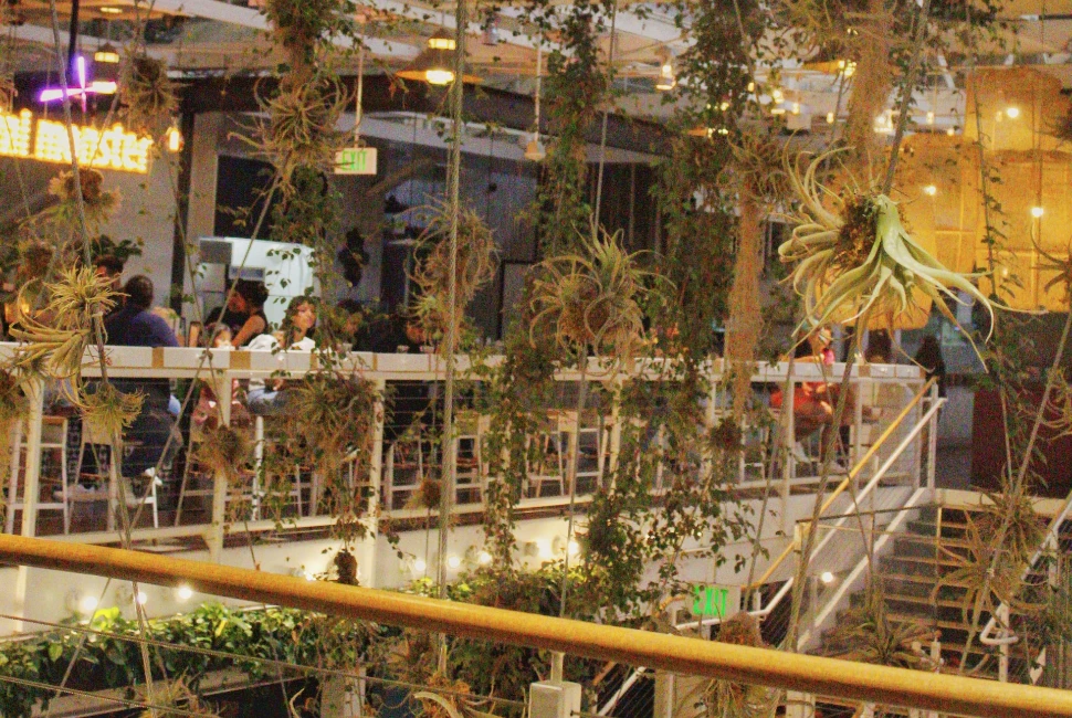 Exploring Beyond Disney: Hidden Gems in Anaheim for Travelers